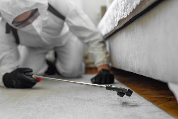 Professional Pest Control technician working in Oneida County County, WI